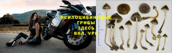 кристаллы Алзамай