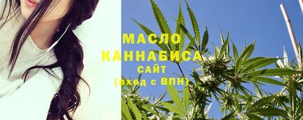 крисы Абаза